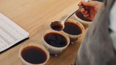 ¿Qué hace a un buen catador de café?