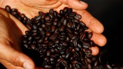 AECafé destaca que las empresas cafeteras siguen impulsando acciones en materia de innovación y sostenibilidad