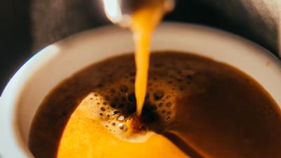 España es cada vez más cafetera: cada español consume 4,2 kilos al año (562 tazas)